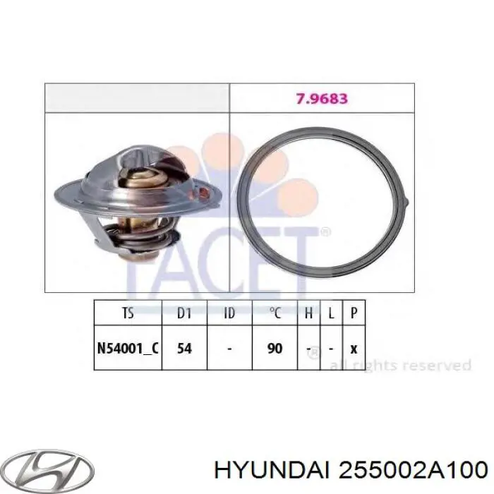 255002A100 Hyundai/Kia