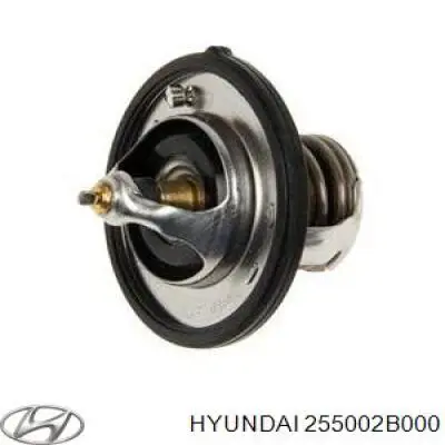 255002B000 Hyundai/Kia Авто термостат