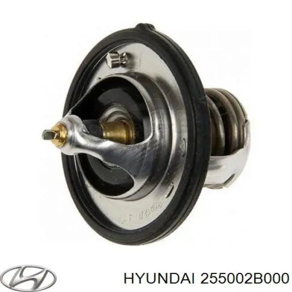 Termostato, refrigerante 255002B000 Hyundai/Kia