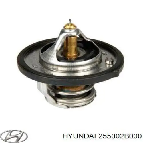 Termostato Hyundai/Kia 255002B000