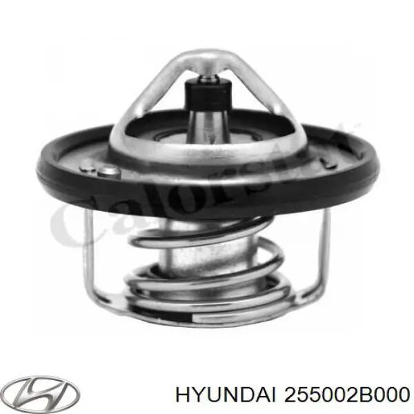 Купить 255002B000 Hyundai/Kia Автомобильный термостат