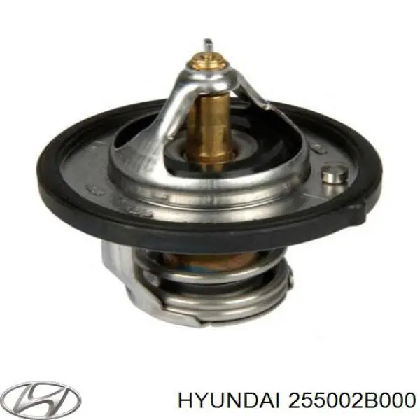 255002B000 Hyundai/Kia termostato