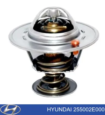255002E000 Hyundai/Kia термостат