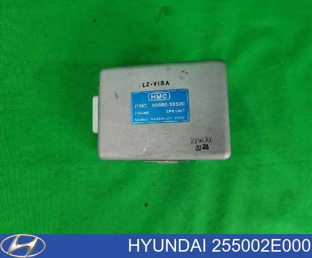 Термостат 255002E000 Hyundai/Kia