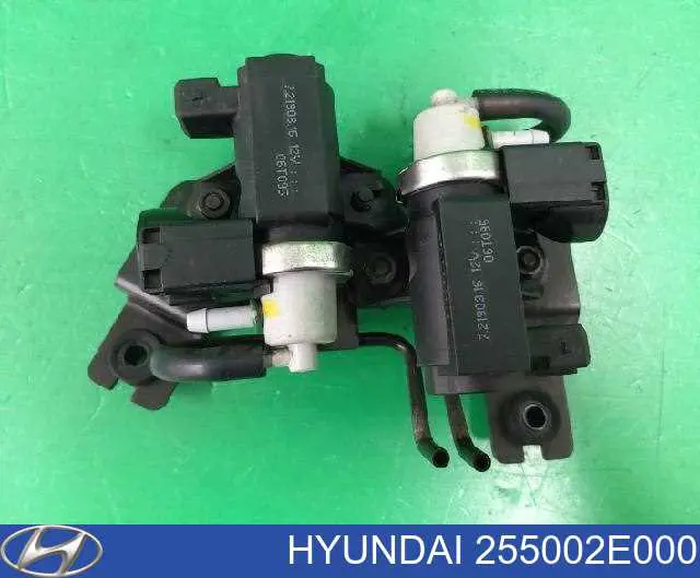 Термостат в сборе Hyundai/Kia 255002E000