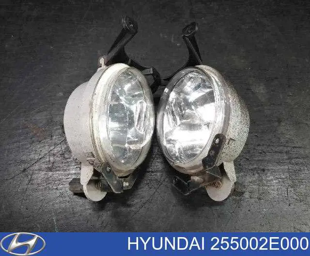 Термостат 255002E000 Hyundai/Kia