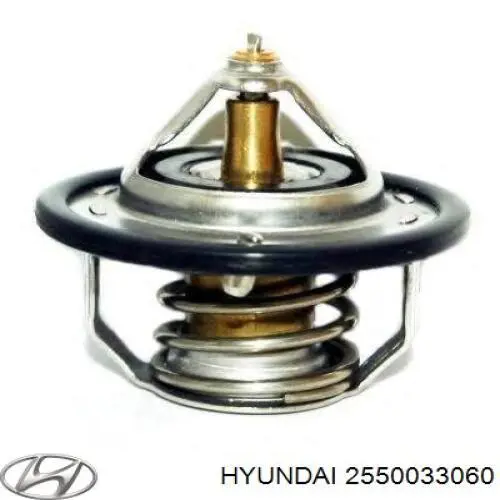 2550033060 Hyundai/Kia termostato