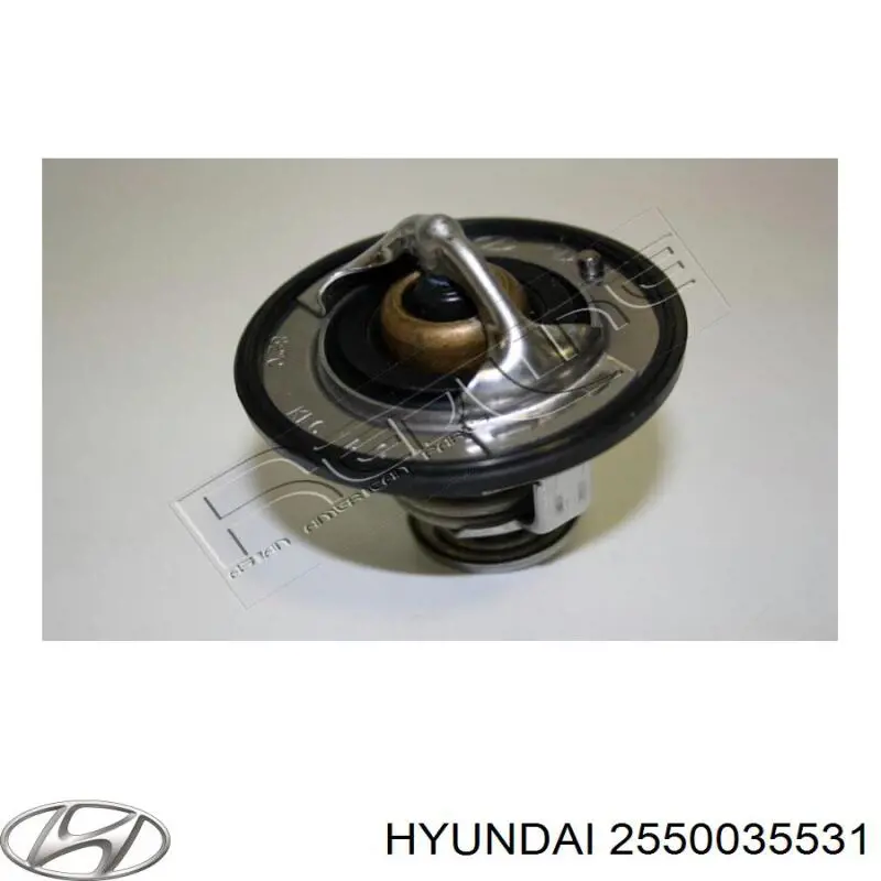 2550035531 Hyundai/Kia термостат