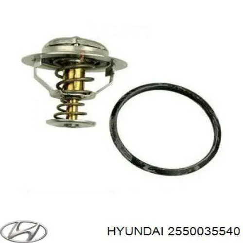 2550035540 Hyundai/Kia термостат