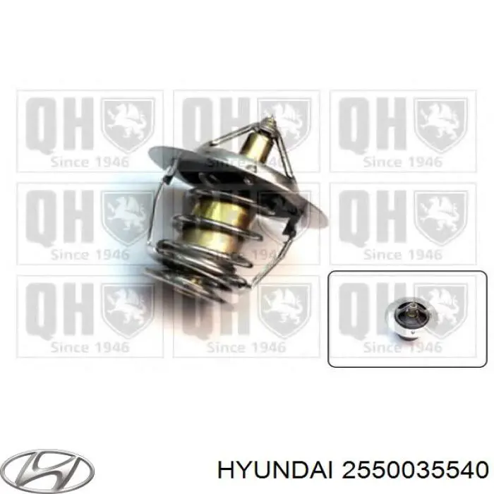 2550035540 Hyundai/Kia Авто термостат