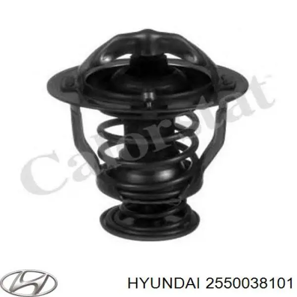 Термостат в корпусе Hyundai/Kia 2550038101 цена, от 10.80 USD