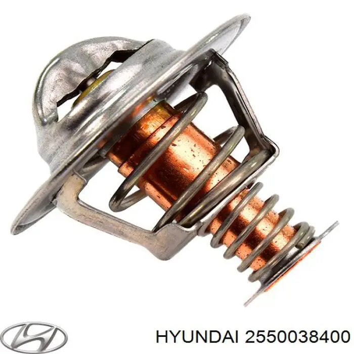 Термостат Хундай Н-1 Starex (Hyundai H1)