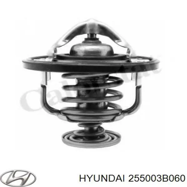 255003B060 Hyundai/Kia термостат