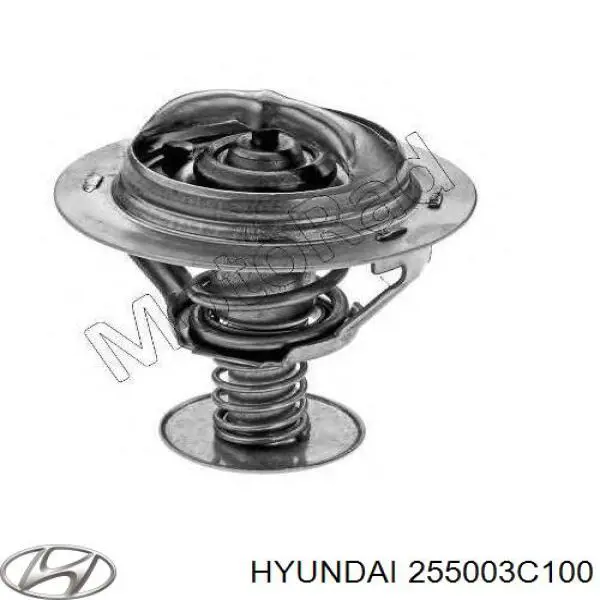 255003C100 Hyundai/Kia