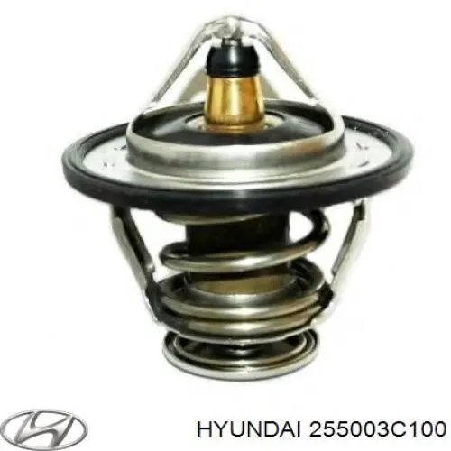 Термостат в корпусе Hyundai/Kia 255003C100 цена, от 15.29 USD