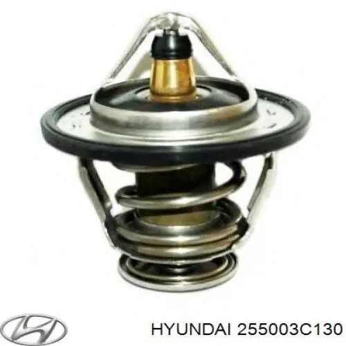 Termostato para Hyundai Azera (HG)