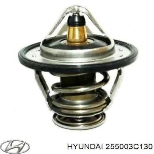 255003C130 Hyundai/Kia termostato