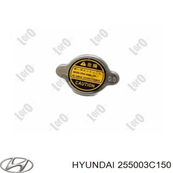 255003C150 Hyundai/Kia termostato
