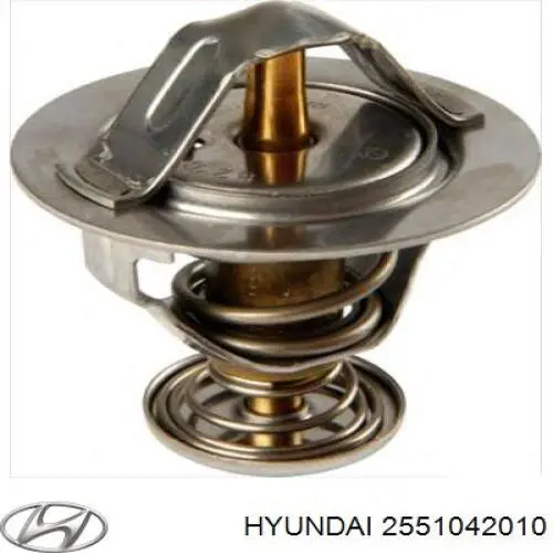 2551042010 Hyundai/Kia termostato