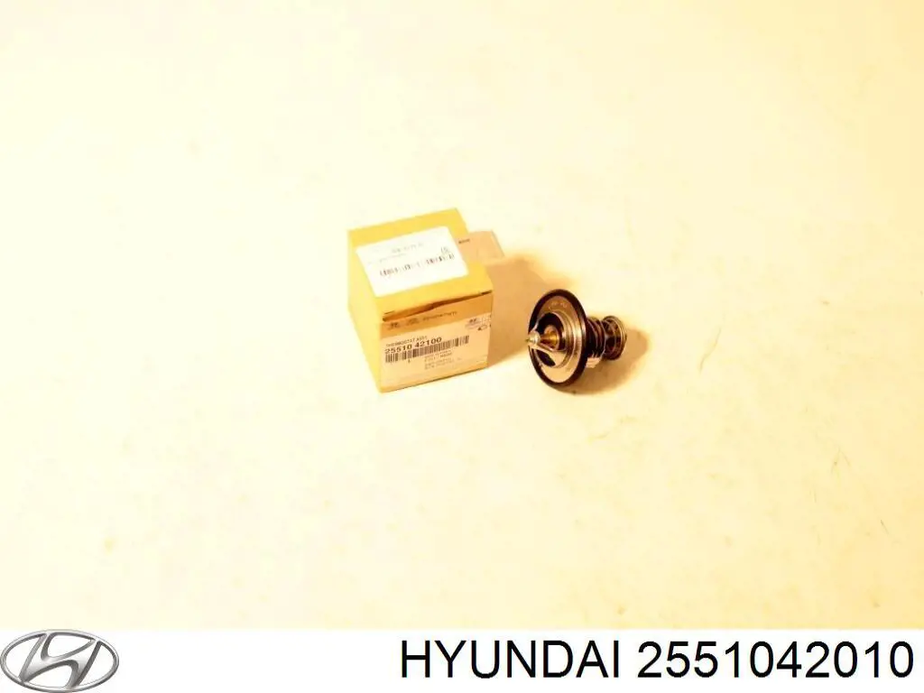 2551042010 Hyundai/Kia Авто термостат