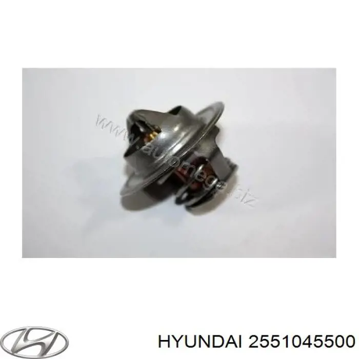 RD1517255104 Rider Авто термостат