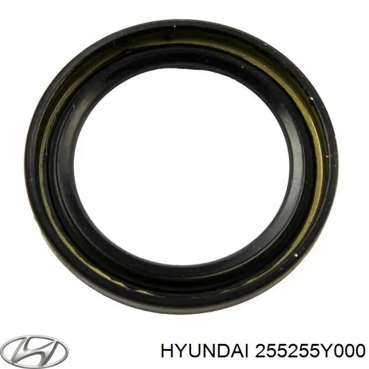  255255Y000 Hyundai/Kia