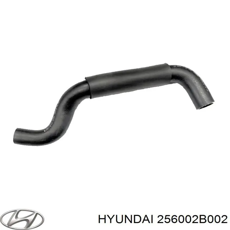 Купить 256002B002 Hyundai/Kia Корпус термостата