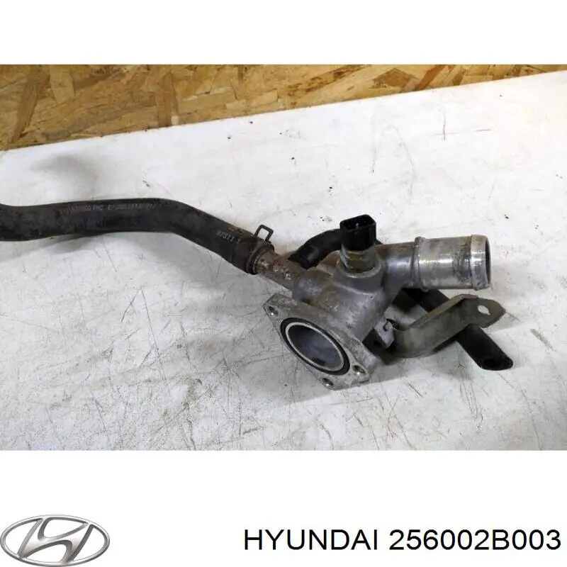 Кожух термостата Hyundai/Kia 256002B003 цена, от 31.89 USD