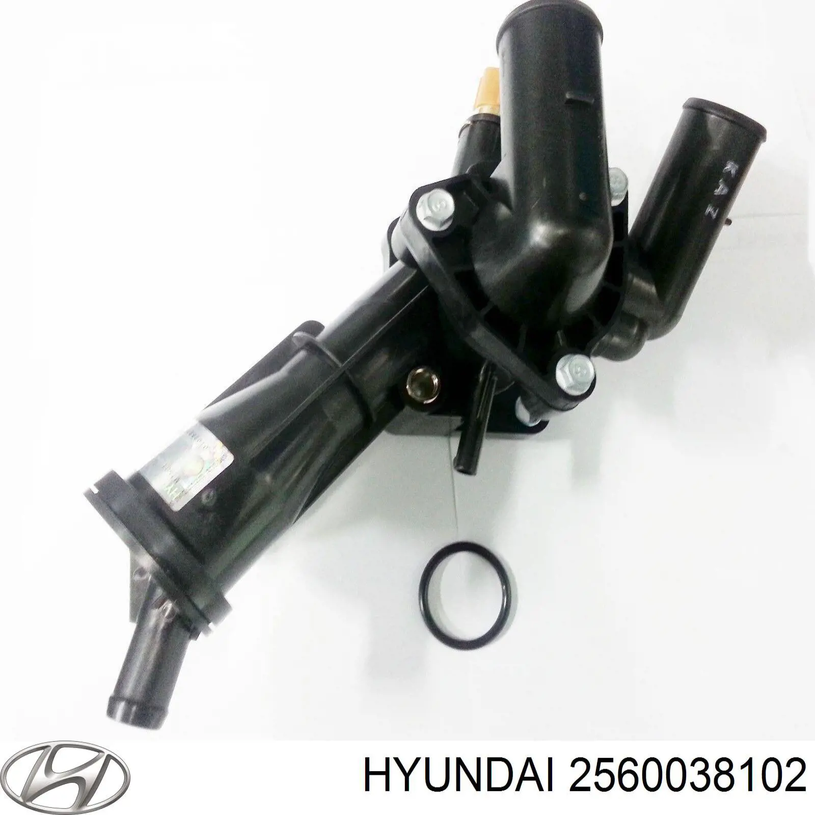 2560038102 Hyundai/Kia 