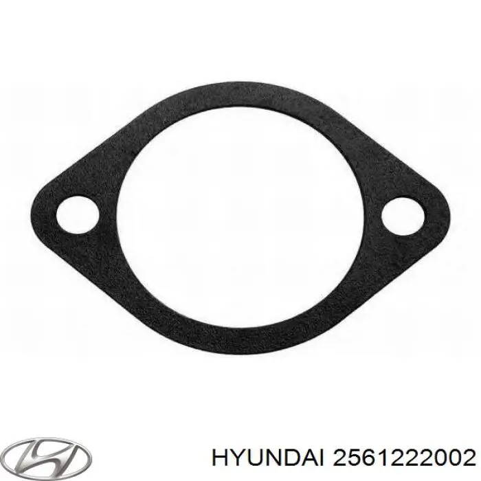 2561222002 Hyundai/Kia прокладка корпуса термостата