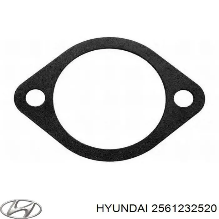 Vedante de caixa do termostato para Hyundai Sonata 