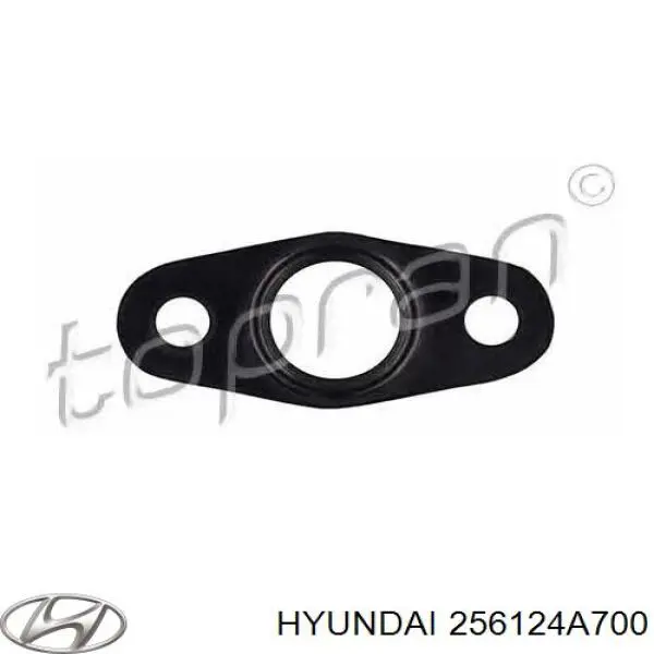 256124A700 Hyundai/Kia Прокладка термостата