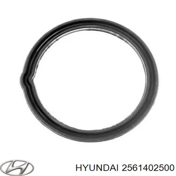 2561402500 Hyundai/Kia прокладка термостата