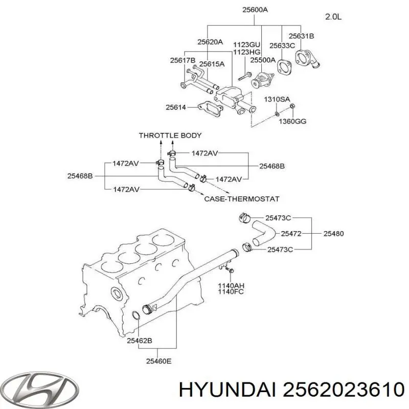  2562023610 Hyundai/Kia