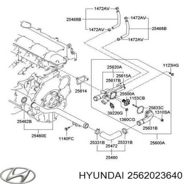 Caja del termostato 2562023640 Hyundai/Kia