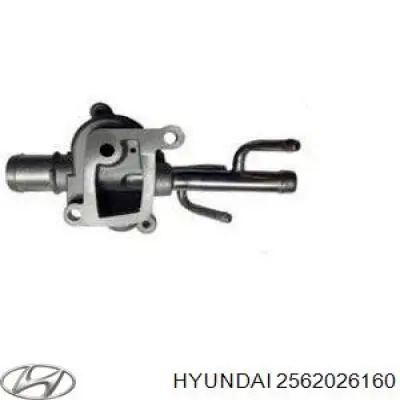 2562026160 Hyundai/Kia