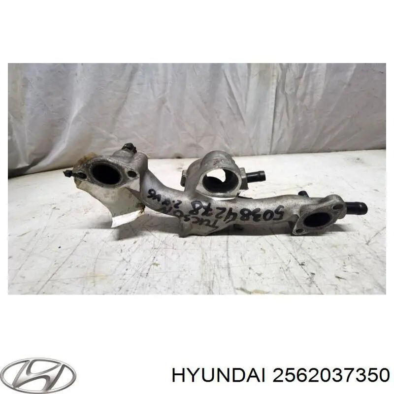 Кожух термостата Hyundai/Kia 2562037350 цена, от 50.68 USD