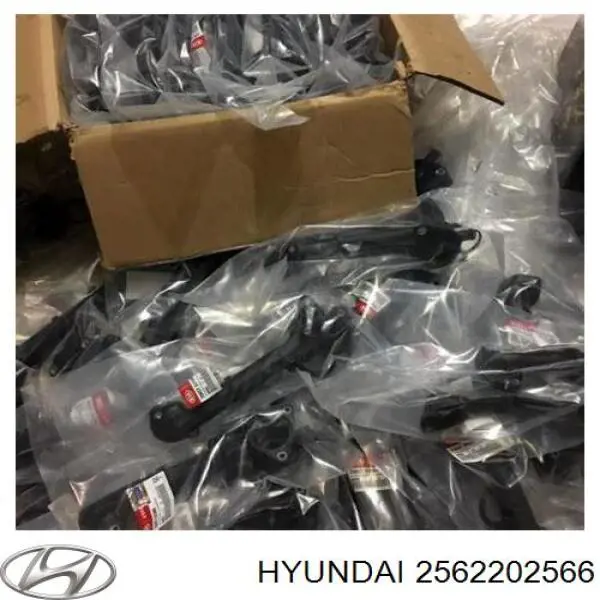 2562202566 Hyundai/Kia 