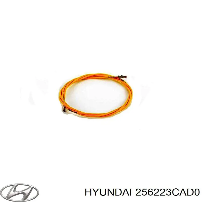  256223CAD0 Hyundai/Kia