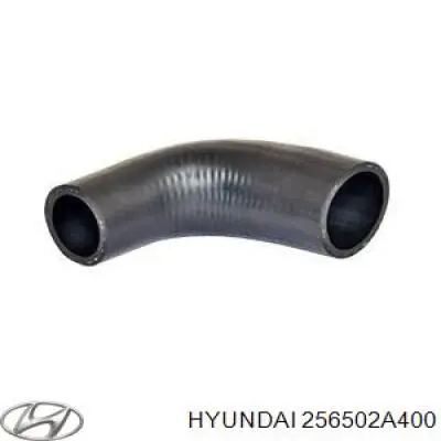  256502A400 Hyundai/Kia