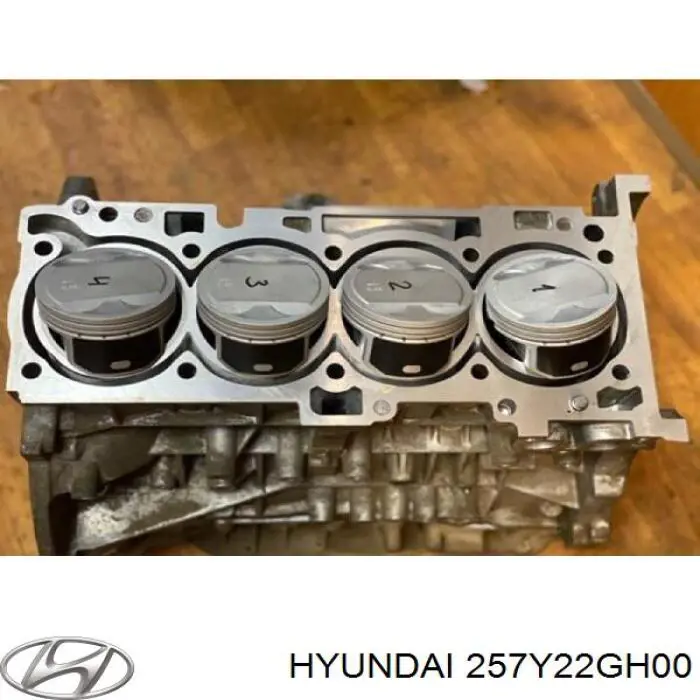  257Y22GH00 Hyundai/Kia