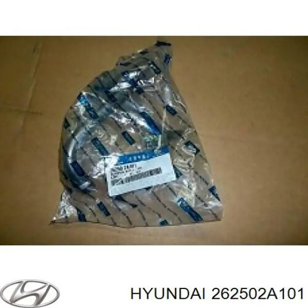 262502A101 Hyundai/Kia receptor de óleo (coletor de óleo)
