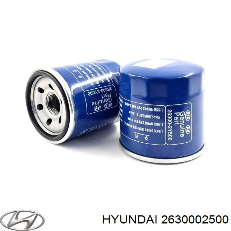 2630002500 Hyundai/Kia масляный фильтр