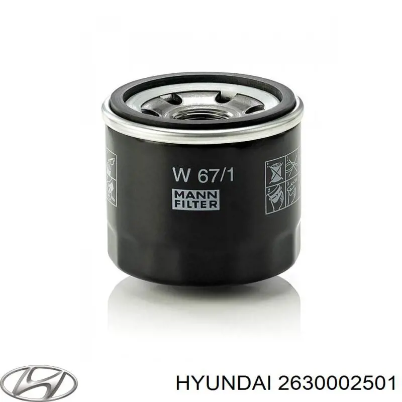 Масляный фильтр 2630002501 Hyundai/Kia