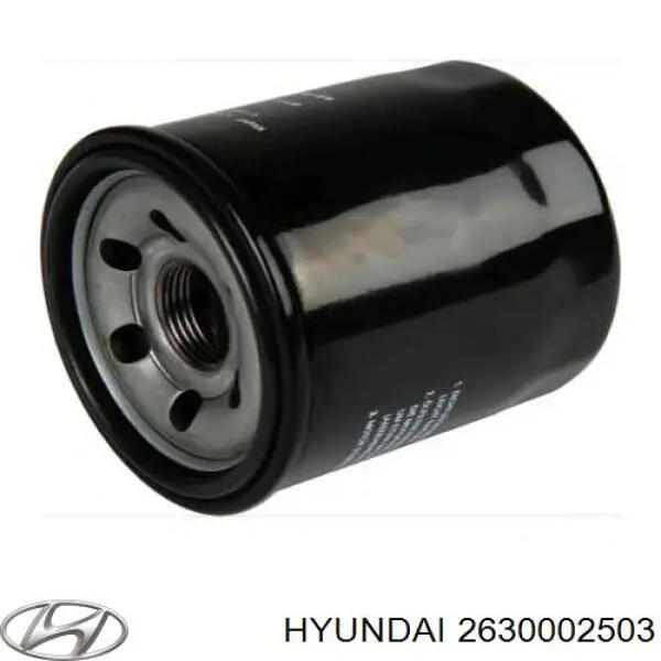 2630002503 Hyundai/Kia масляный фильтр