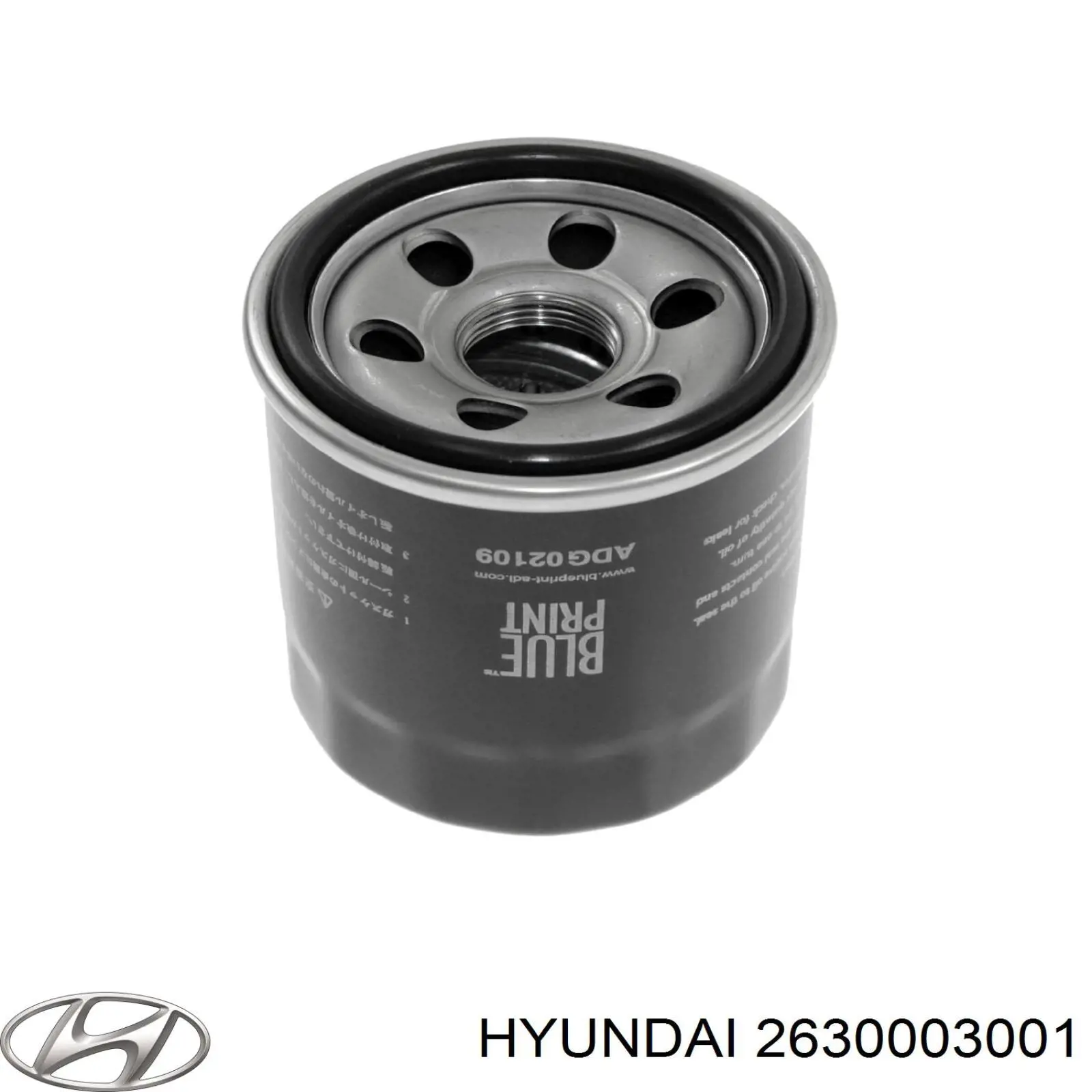 Купить 2630003001 Hyundai/Kia Фильтр центробежный очистки масла