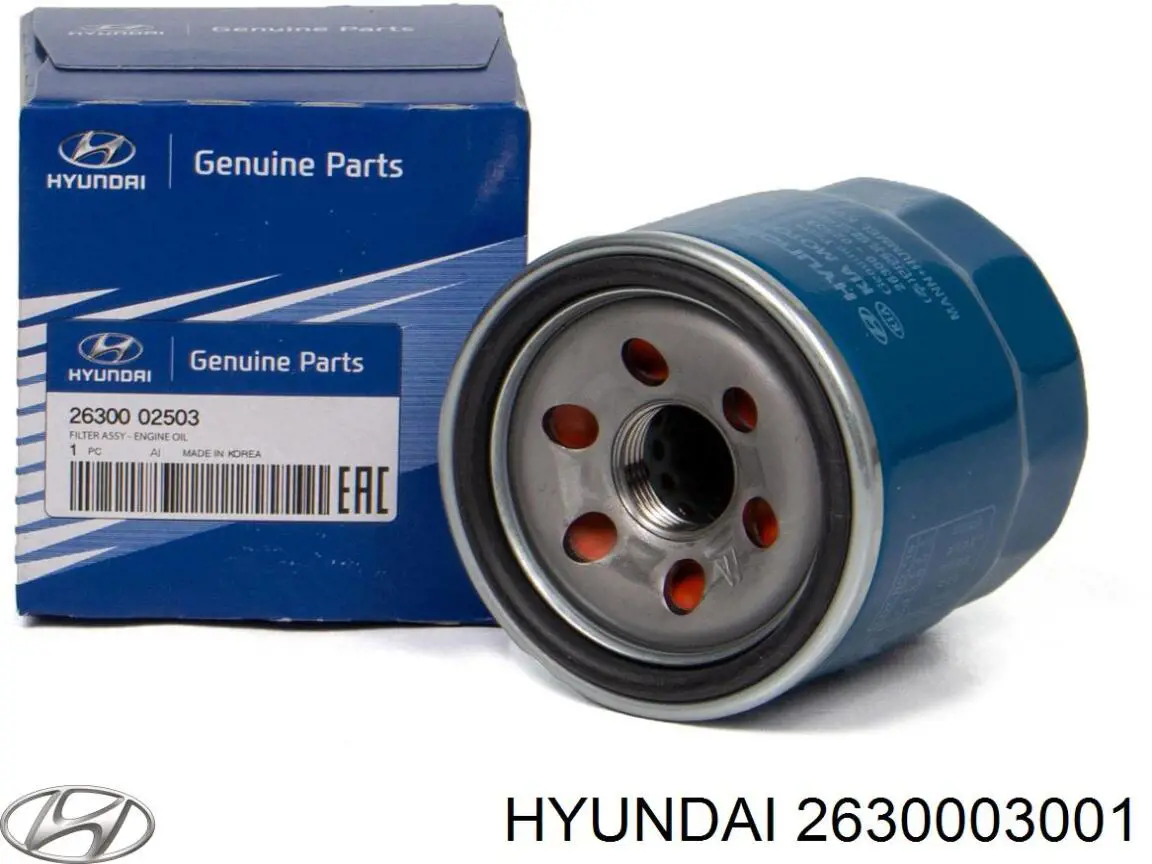 Filtro de aceite 2630003001 Hyundai/Kia