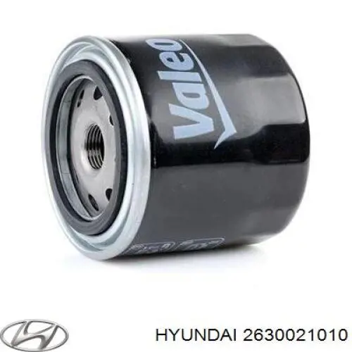 2630021010 Hyundai/Kia масляный фильтр