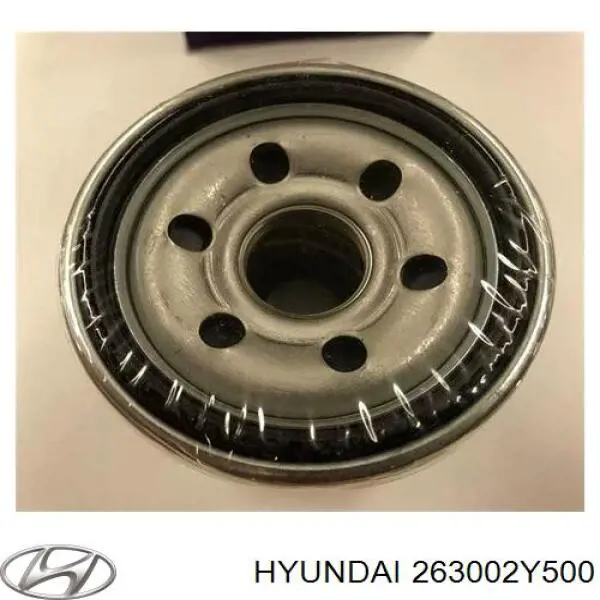 Filtro de aceite 263002Y500 Hyundai/Kia