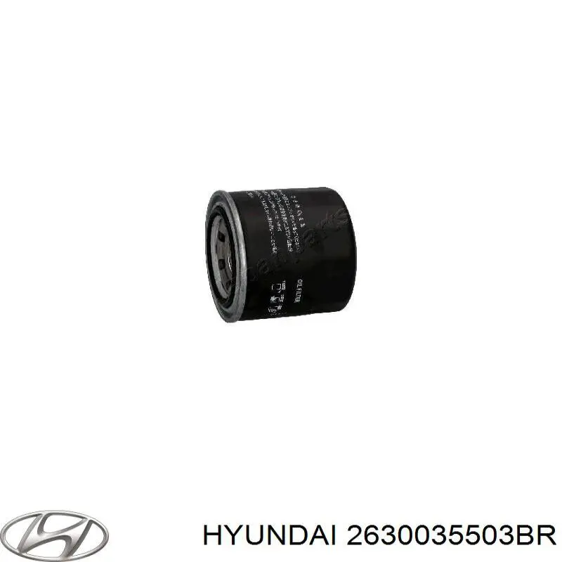 Купить 2630035503BR Hyundai/Kia Фильтр центробежный очистки масла